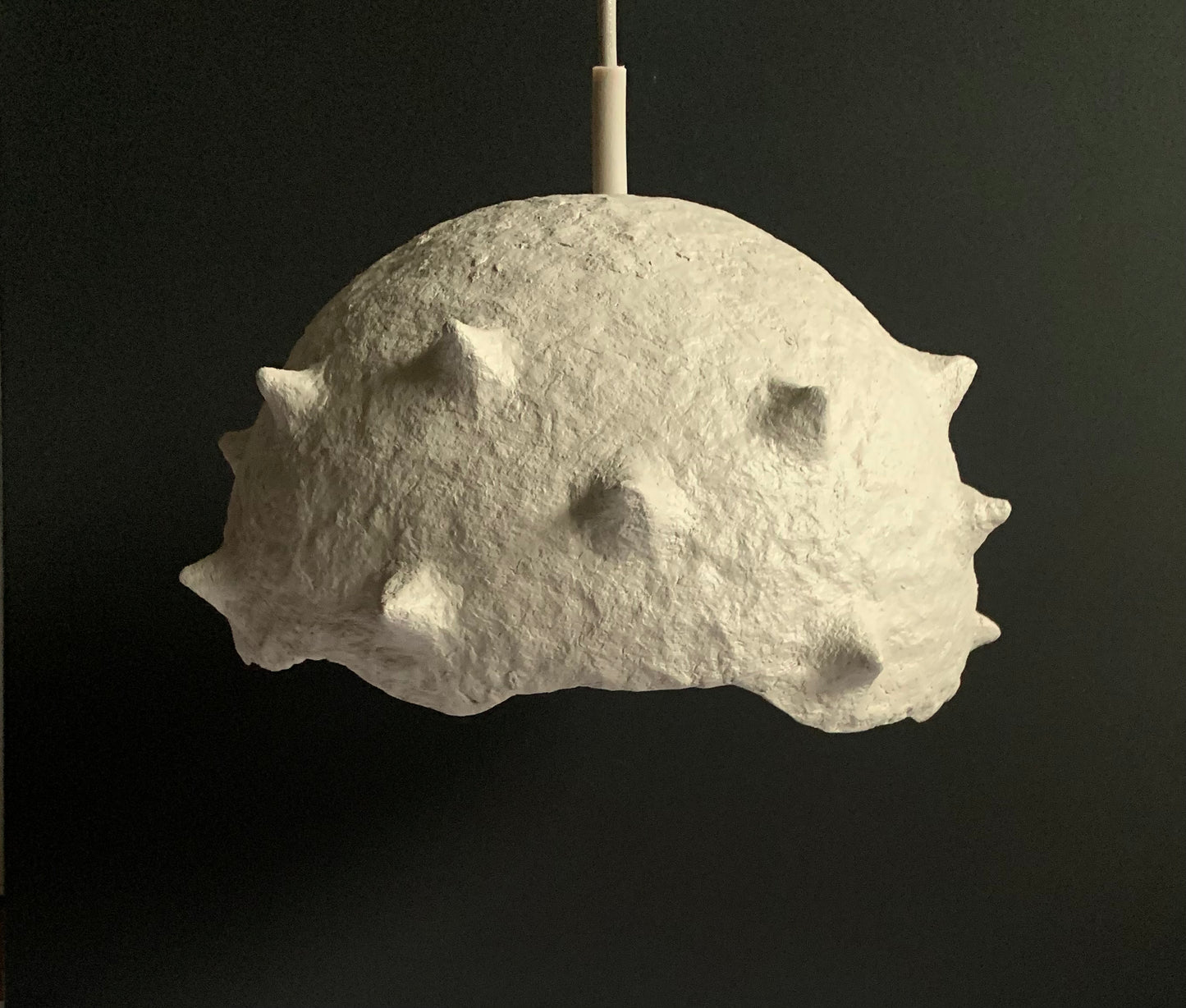 Lamp shade with spikes