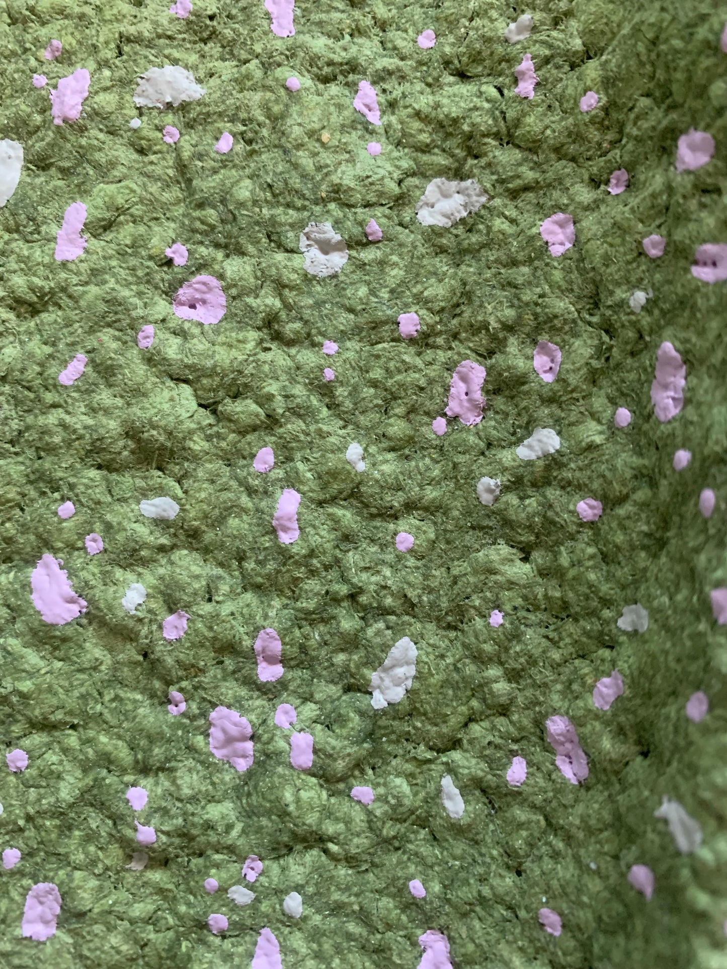 Green tray